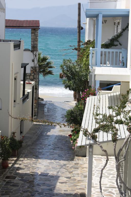 Theofanis Studios Agia Anna  部屋 写真